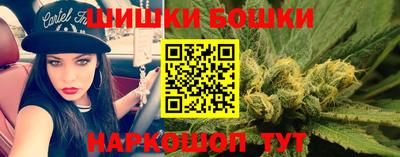 МДПВ Дубна