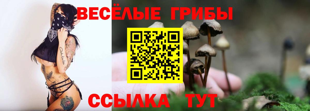 Галлюциногенные грибы мицелий Мирный